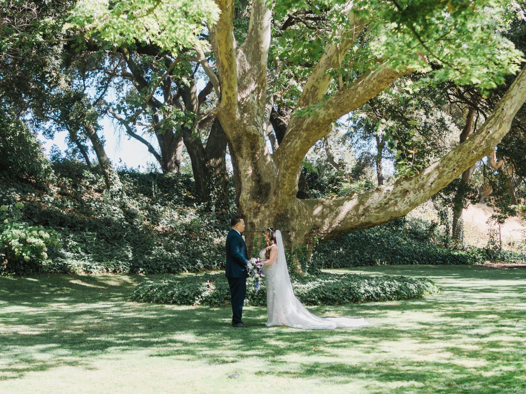 carousel-hero-element image-5