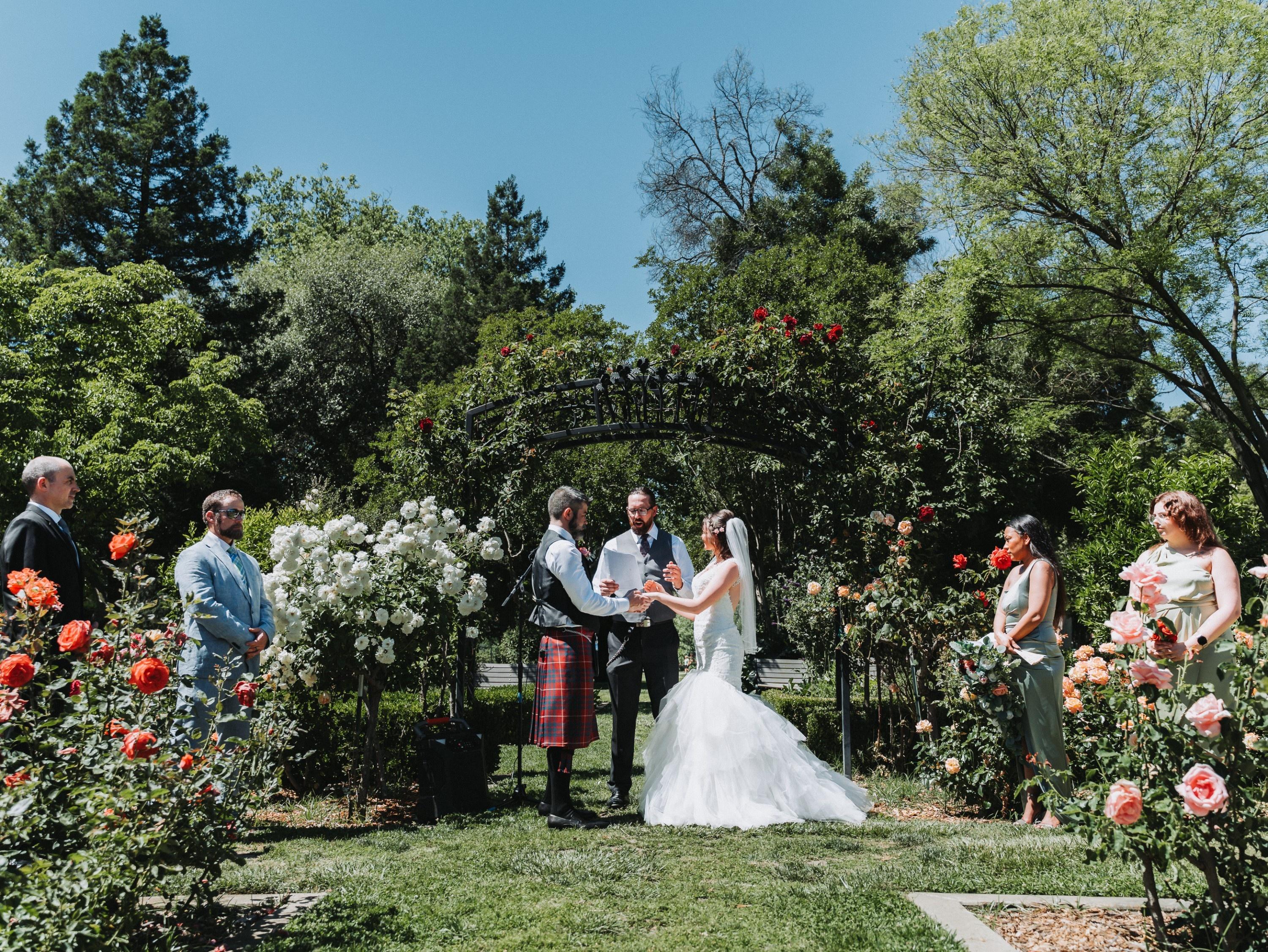 carousel-hero-element image-2